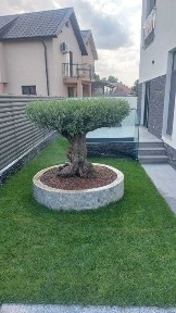 Casa de vanzare in Navodari