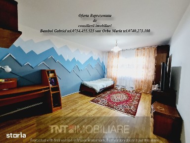 Apartament de vanzare 2 camere decomandat zona Poitiers - Frumoasa