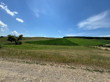 Cluj, Boldut