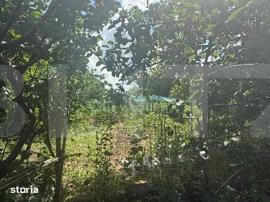 Casa individuala, 55 mp, teren 5000mp, Schit Oraseni, Com. Cristesti