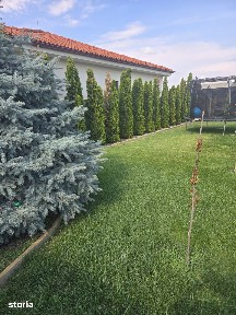 Casă P+M Mărtinești