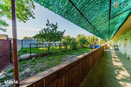 Horia, Vladimirescu, Arad