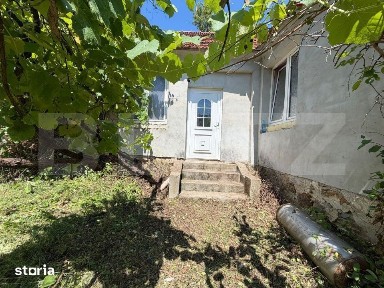 Casa cu teren generos de 2.674 mp-Langa Geoagiu Bai