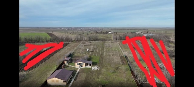 Oferta! Vând domeniu unicat (1 Ha) cu casă și livadă - Drăghiceanu, Giurgiu | Opțiuni parcelate la asfalt