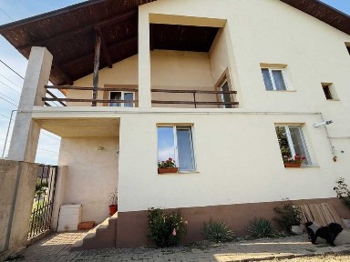 Timis, Lugoj