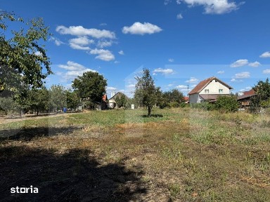 Casa veche cu teren generos in vatra veche Șag