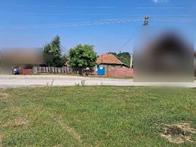 Casă cu teren 8.000 mp și livadă