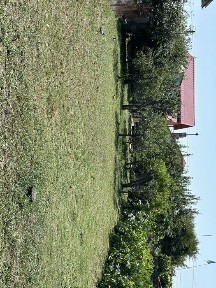 Vand /schimb casa Tatarani Prahova