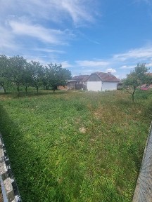 URGENT Vand teren+casa Micula, Satu Mare NEGOCIABIL