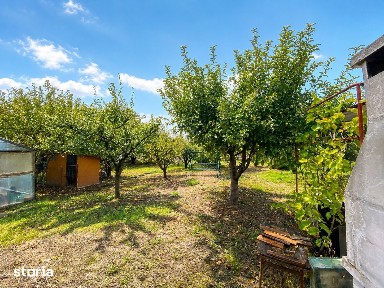 Casa renovata cu teren de 938 mp, garaj si anexa - Valu lui Traian