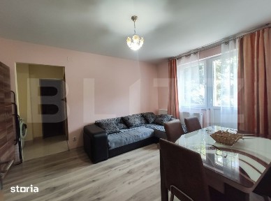 Apartament cu 2 camere, 55 mp, pet Friendly, zona Centrala