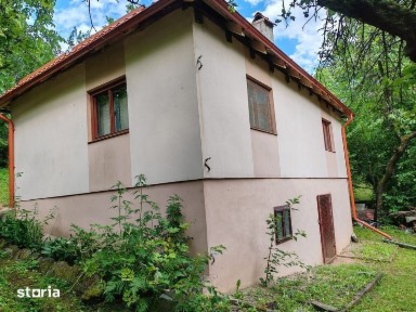 Vand casa la munte