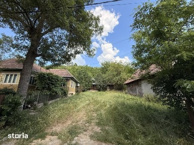 Casa Caianu Mic 1500 mp teren