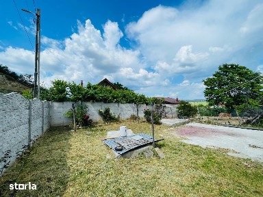 Casa de vanzare cu 8 camere in Dolj / sat Livezi