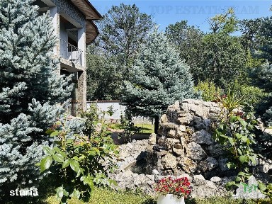 SUPER PROPRIETATE, vila 310 mp construiti, 1000 mp teren PADUREA ROSU