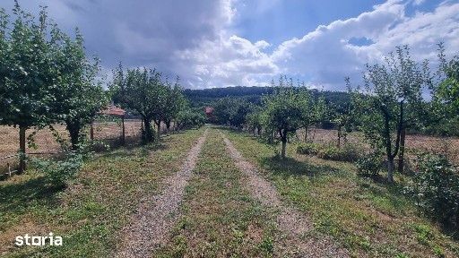 Casa de vacanță-Hidișel de Sus