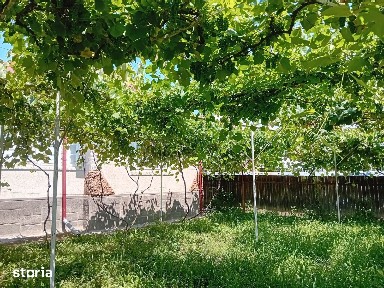 Vând casă în satul Curița, comuna Cașin