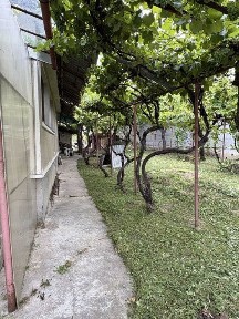 Casa de vanzare Vadu Crisului