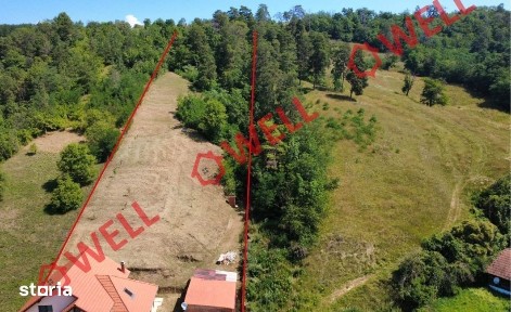 Casă familială de vânzare în Dalnic!