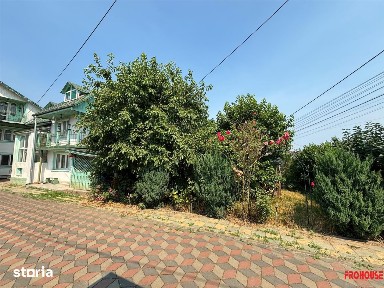 Hemeius, Bacau
