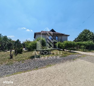 Casa individuala de vanzare si restaurant funcioanal, Sag, COMISION 0