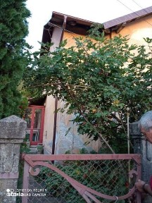 Vand casa in Doman