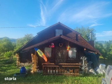 Vand cabana din lemn in zona de vis