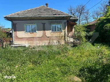 Casa de vanzare, cu 12 ari de teren, in Balan