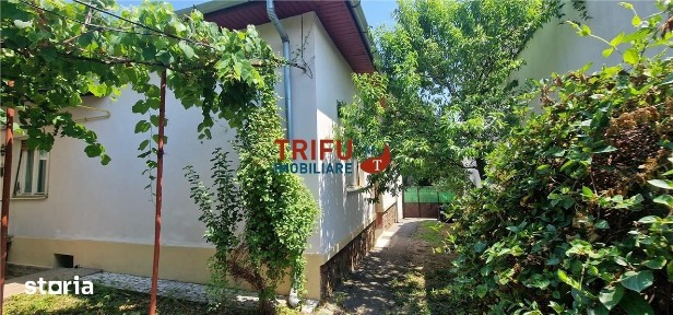 Casă individuală cu curte verde, pe cea mai frumoasă stradă din Centru
