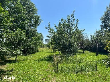 Casa de vacanta 4 camere | livada 2317mp | Cornu de Jos, Prahova | 1h