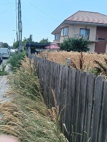 Constanta, Navodari