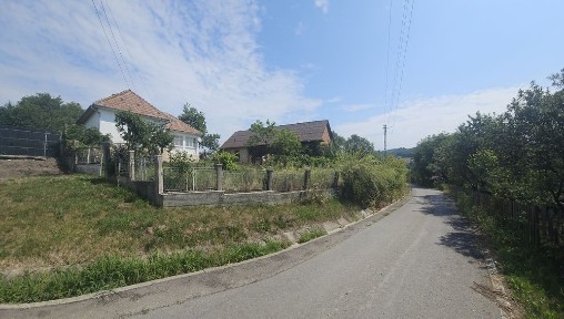 Casă 82 mp cu teren de 10.000 mp intravilan, șură și grajd