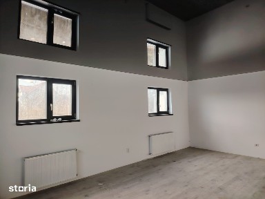 Casa cu 5 camere, Bucium, intabulata, pret foarte bun
