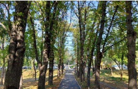 Floreasca Parc Verdi