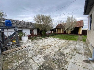 Vand Casa Sintea Mare - 2880 MP Teren