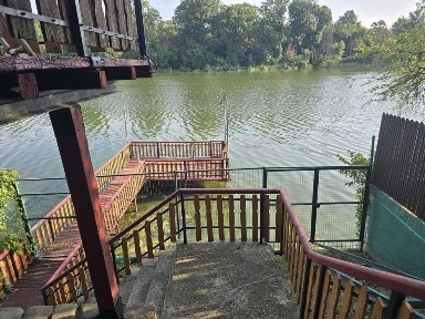 Bucuresti - Ilfov, Mogosoaia