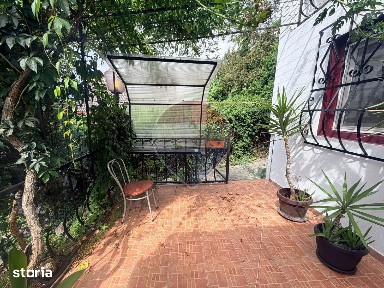 Leamna de sus, casa cu piscina, 2000mp