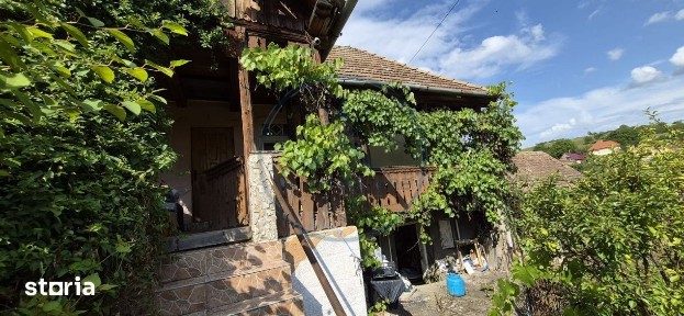 Casa de vanzare Lunca Tecii teren 1116 mp