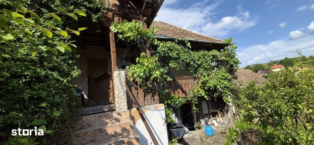 Sacalu De Padure, Brancovenesti, Mures