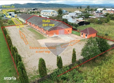 Strada Libertatii, Buhusi, Bacau