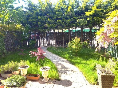 Vila 4 camere/singur in curte /Pipera