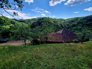 Alba, Plai