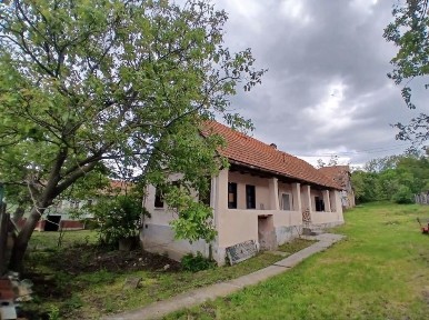 Vand casa cu gradina 1100 metri patrati