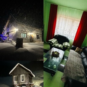Cabană/casă de vacanță