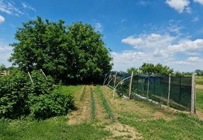 Casa modernă 130mp Vetis Holiday