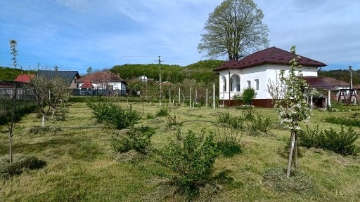 Arges, Crampotani