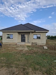 Vand Casa Peciu Nou