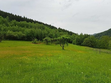 Casa cu teren intravilan