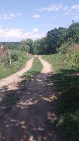 Bucuresti - Ilfov, Gradistea