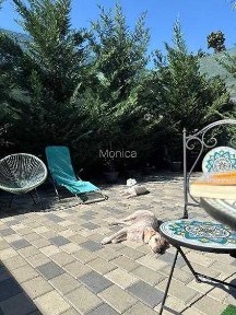 Apartament 2 camere | Grădină 170 mp în proprietate | Parcare subterană | Pipera - Iancu Nicolae